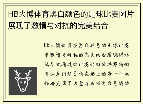 HB火博体育黑白颜色的足球比赛图片展现了激情与对抗的完美结合